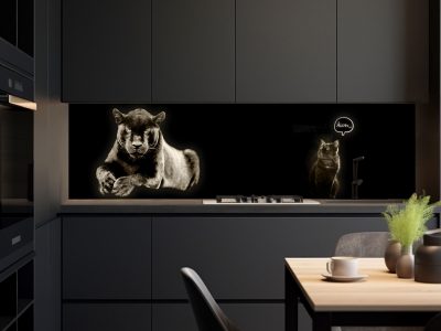 Küchenrückwand KATZEN TREFFEN, beleuchtet