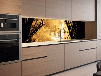 Küchenrückwand REHE, beleuchtet