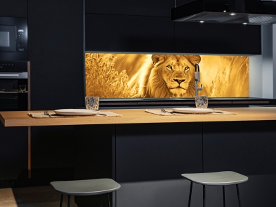 Küchenrückwand LÖWE, beleuchtet